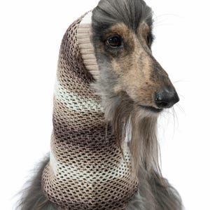 Afghanischer Windhund Snood ""LATTE"""