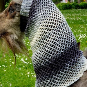 May include: A gray and white crocheted dog neck cover with a mesh design. The cover is worn by a dog with long, gray fur.