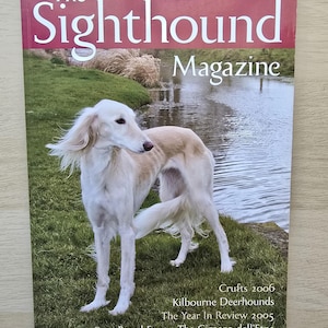 Puede incluir: La revista The Sighthound Magazine número 1 verano 2006 muestra un perro Saluki de color crema de pie sobre hierba verde cerca de un cuerpo de agua. El texto de la portada incluye Crufts 2006, Kilbourne Deerhounds, The Year In Review 2005 y Rare Breed Focus.