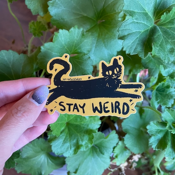 Stay Weird Funny Cat Sticker