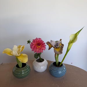 May include: Three small ceramic vases, each holding a different flower. The vases are in shades of green, white, and blue. The flowers include a yellow iris, a pink dahlia, a purple iris, and a white calla lily.
