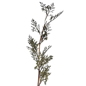 May include: A decorative artificial evergreen stem with a brown stem and green, glittery foliage. The stem is long and slender, with multiple branches of varying lengths. The leaves are a dark green color with a shimmering, glittery texture.