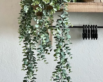 Hanging Eucalyptus Greenery-Artificial Eucalyptus Greenery-Shelf Greenery-Bookcase Greenery-Vase Greenery-Centerpiece