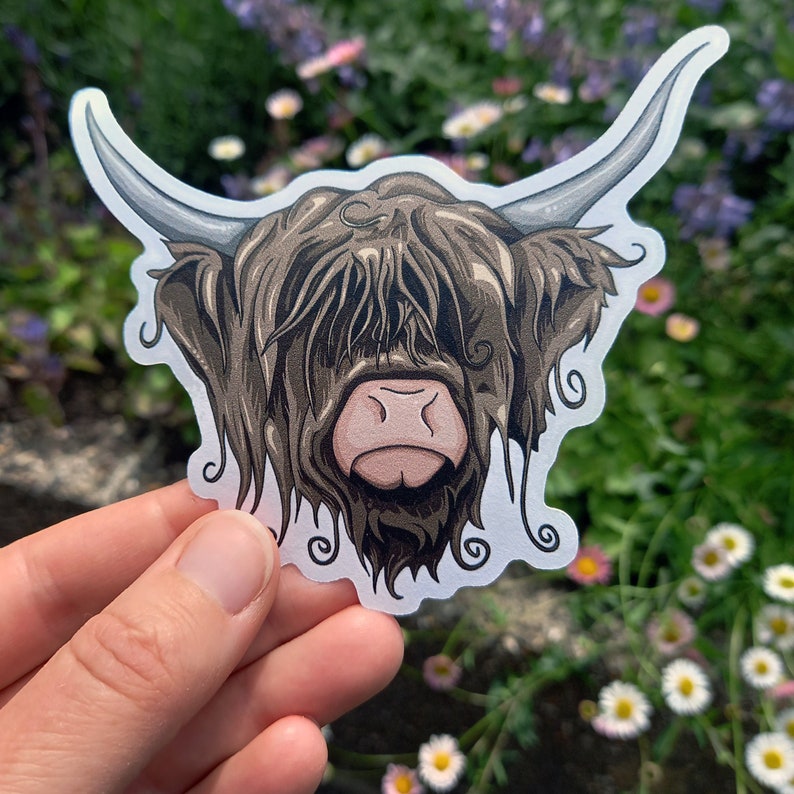 May include: A sticker of a Highland cow with brown fur and a white face. The cow's fur is long and shaggy, and its eyes are hidden behind its fur. The sticker is on a white background.