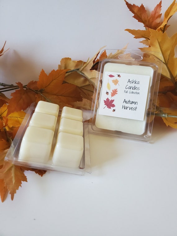 AUTUMN HARVEST Soy Wax Melts, Yankee Candle Replica! Spicy Home Sweet Home  Wax Melt! Fall Wax Melt, Spice Wax Melt, Cinnamon Wax Melt