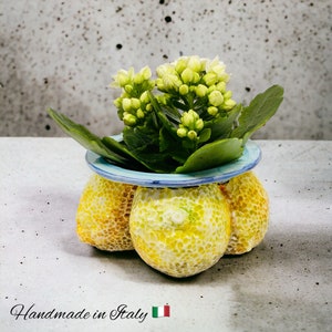 Può includere: Un vaso in ceramica giallo a forma di limoni con un bordo blu, che contiene una piccola pianta verde con fiori bianchi. Il vaso è fatto a mano in Italia.