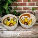 see more listings in the ceramic bowl section