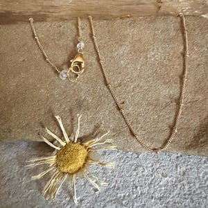 Satellite chain gold choker necklace