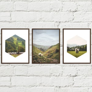 Printable Photography Psalm 23:1-3 The Lord is My Shepherd Set of 3 in Three Sizes 8x10,11x14,16x20 JPGs Home Decor Scripture Christian Art