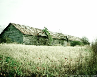 Rural Country Landscape Photograph, Fine Art, Rustic Abandoned Architecture Fall, Autumn, Home Condo Decor, Andrew Wyeth Inspired