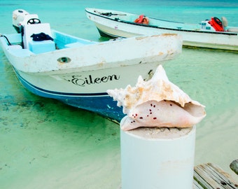 Beach Photography, Ocean Sea Summer, Aqua Blue Beach, Conch Shell Photo, Boat Photo, Seashore Horizon, Ocean Art, Seascape Art, Belize Photo