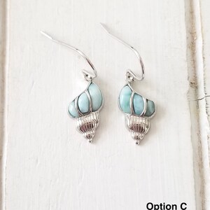 May include: A pair of silver dangle earrings with a blue and green seashell design. Option C.