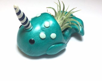 Mini Narwhal Air Plant Pot, Whimsical Container for Air Plants, Narwhal Miniature Decor