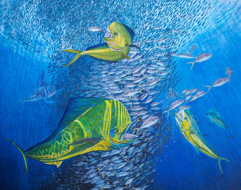 Mahi mahi fish oil painting original 30x24in Etsy