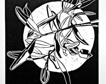 Impression linogravure d'olivier : art au clair de lune de la Dalmatie