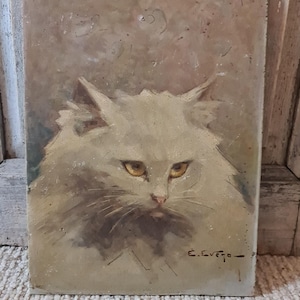 antique French  original oil on wood cat portrait painting