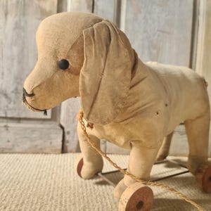 antique steiff pull toy dog on wheels – stuffed dog with shoe button eyes – vintage german toy – collectible steiff animal