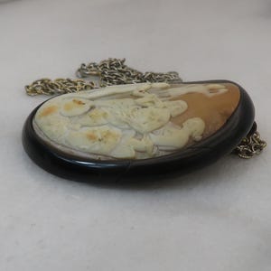 May include: Oval cameo pendant with a carved relief of a classical figure, set in a dark brown frame. The pendant is attached to a silver-colored chain. The cameo features cream and tan tones.