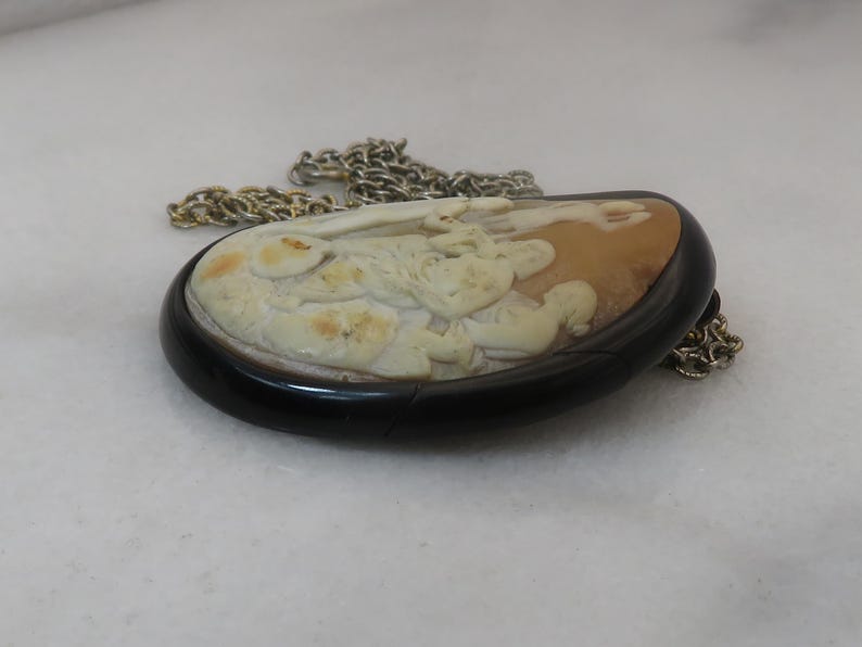 May include: Oval cameo pendant with a carved relief of a classical figure, set in a dark brown frame. The pendant is attached to a silver-colored chain. The cameo features cream and tan tones.