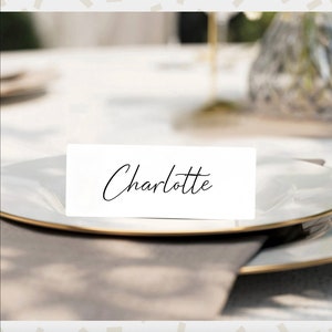 Cartões de nome de lugar de casamento, cartões de lugar personalizados, decoração de mesa de casamento, cartão de lugar de aniversário, cartão de lugar de evento, cartão de lugar personalizado