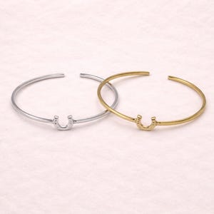 Può includere: Due braccialetti a polsino aperti a forma di ferro di cavallo. Uno è color argento, l'altro è color oro. Ogni braccialetto presenta un ciondolo a forma di ferro di cavallo al centro. I braccialetti sono esposti su una superficie rosa chiaro.