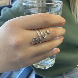 May include: A silver snake ring with a coiled design. The ring is worn on a finger.