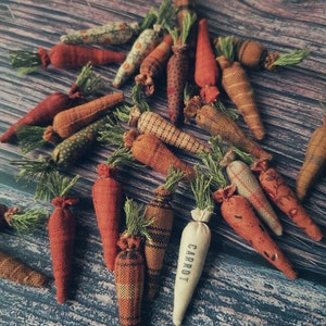 Puede incluir: Una colección de zanahorias de tela hechas a mano en varios tonos de naranja, marrón y blanco. Las zanahorias están decoradas con una variedad de patrones y texturas, y algunas tienen hojas verdes. Una zanahoria tiene la palabra "ZANAHORIA" bordada.