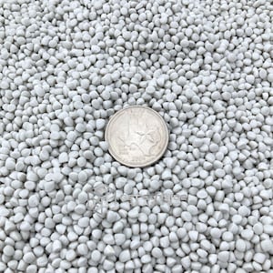 May include: A close-up shot of a pile of small, light gray plastic pellets. A U.S. quarter coin is in the center of the pellets for size comparison. The coin features the state of Texas and the year 2004.