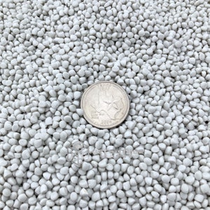May include: A close-up image of a pile of small, white, round plastic pellets. A silver US quarter coin is placed on top of the pellets for scale.