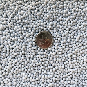 May include: A close-up image of a silver US quarter with the state of Texas on it, surrounded by a field of small, white, round sprinkles.