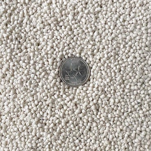 May include: A close-up image of a pile of small, white, round plastic pellets. A US quarter is placed on top of the pellets for scale.