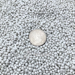 May include: A close-up image of a pile of small, white, round plastic pellets. A silver US quarter coin is placed on top of the pellets for scale.