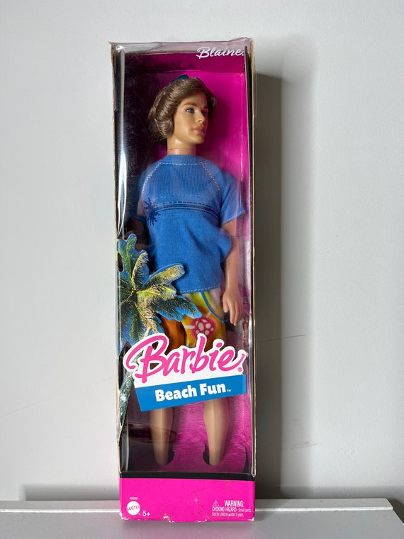 Buy Barbie Beach Fun Blaine Doll Online in India Etsy