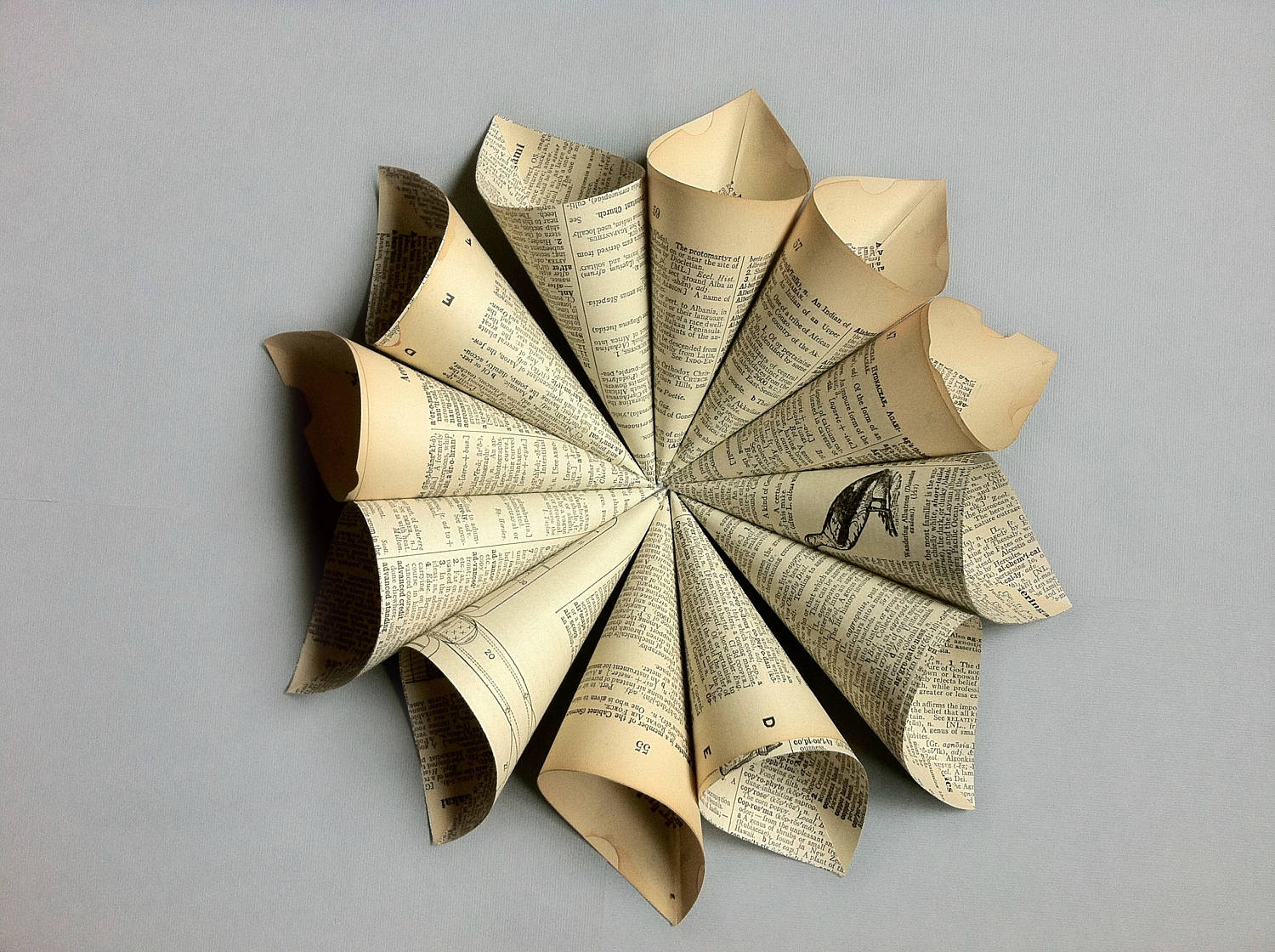 petal dictionary