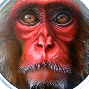 Peinture originale, ''Monkey'', 30,5x35,5cm. image 8