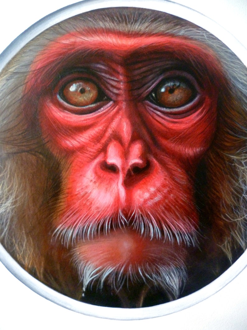 Peinture originale, ''Monkey'', 30,5x35,5cm. image 8