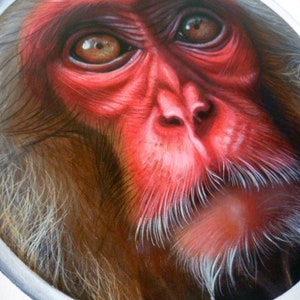 Peinture originale, ''Monkey'', 30,5x35,5cm. image 7