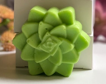 Succulent Shaped Soap Bar with Shea Butter and Essential Oils ~ Soap for Face, Hands, Body ~ Vegan, All Natural ~ Guest Bath or Powder Room