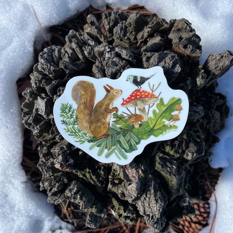 Forage Squirrel Sticker | Premium Die Cut Vinyl Stickers | for Laptops ...