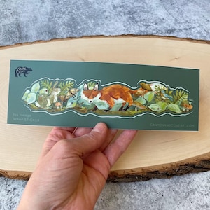 Può includere: Un grande adesivo avvolgente con una volpe che cammina attraverso una scena di foresta con altri animali, tra cui un coniglio, uccelli e funghi. L'adesivo è su uno sfondo verde e ha il testo "Fox forage WRAP STICKER" e "CANYONANDCOVEART.COM".