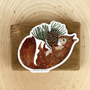 Pine Squirrel Sticker | Premium Die Cut Vinyl Stickers | For Laptops, Water Bottles, Journals, Hydroflasks, Car Bumpers, Planners, etc.