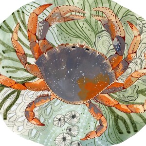 Tide Pool Crab Print Gouache Art Print Ocean Wall Art Woodland Nursery Art Dungeness Crab Wall Art image 3
