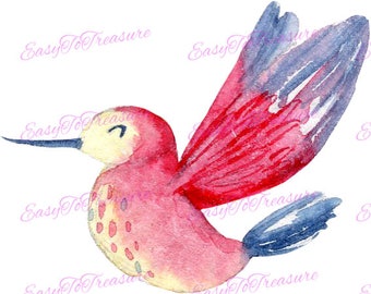 Digital Download Clipart – Garden Hummingbird JPEG and PNG files