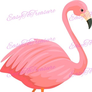 フラミンゴのクリップアート、鳥のクリップアート、夏のクリップアート、熱帯のクリップアート、フラミンゴのデジタルダウンロード、商用利用のクリップアート、印刷可能なフラミンゴ