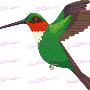Digital Download Clipart – Hummingbird Clipart Design JPEG and PNG files