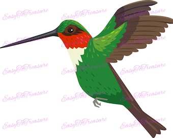 Digital Download Clipart – Hummingbird Clipart Design JPEG and PNG files