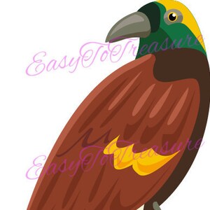 Digitaler Download Clipart – Paradiesvogel Clipart Design JPEG und PNG-Dateien