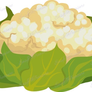Clipart-légumes Califlower JPEG et png en téléchargement numérique