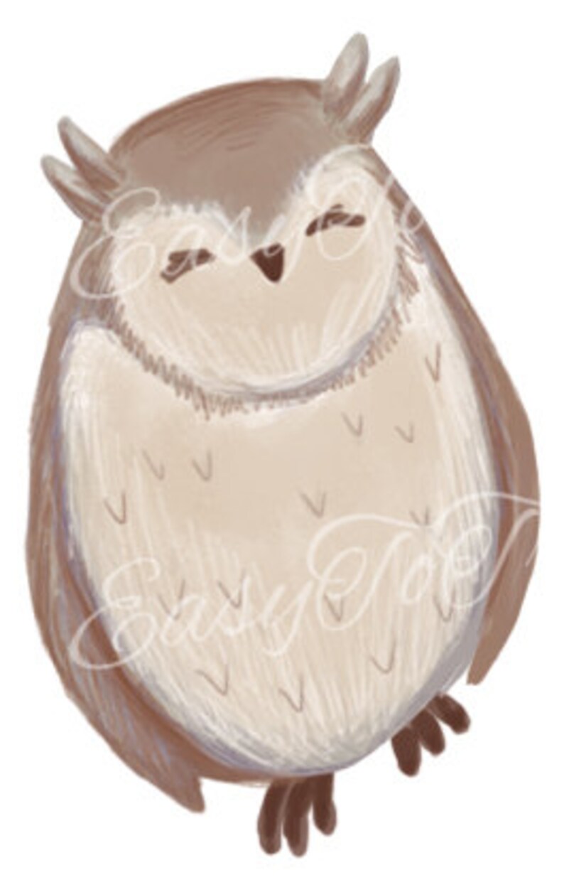 Digital Download Clipart Owl bird hoot JPEG and PNG files image 1