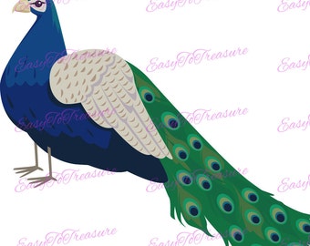 Digital Download Clipart – Peacock Bird Clipart Design JPEG and PNG files
